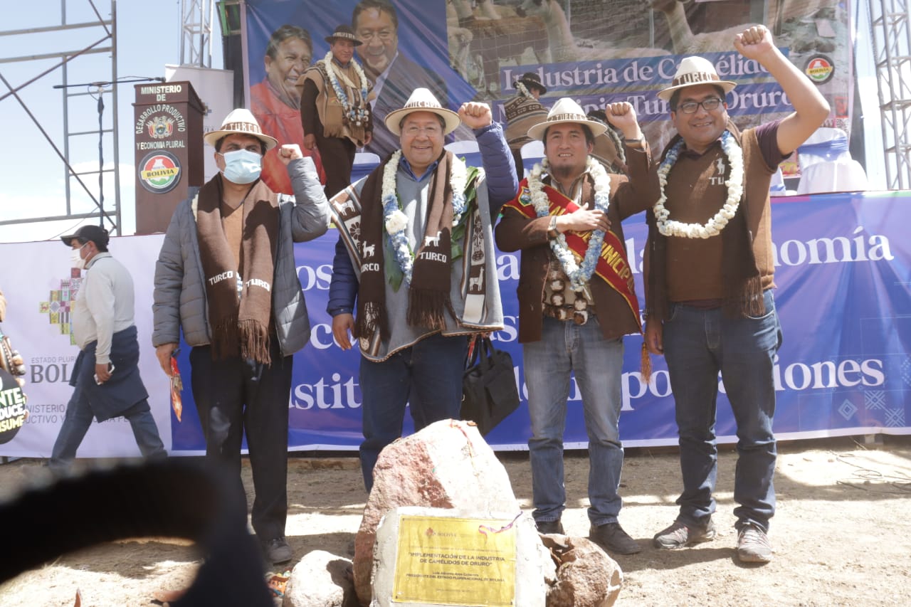 Gobierno inicia la construcción del complejo de industrialización de camélidos con Bs 73,4 millones en Oruro (amplia)