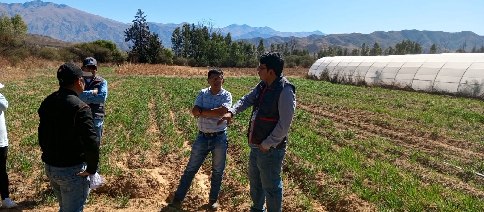 Gobierno ejecuta acciones de investigación para promover y reactivar la producción de hortalizas en Tarija
