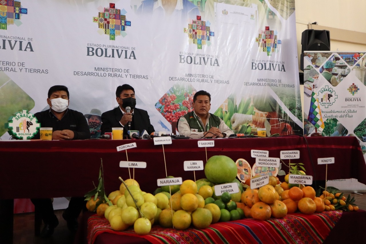 Gobierno ejecuta acciones contra el vector HLB para precautelar la producción de cítricos