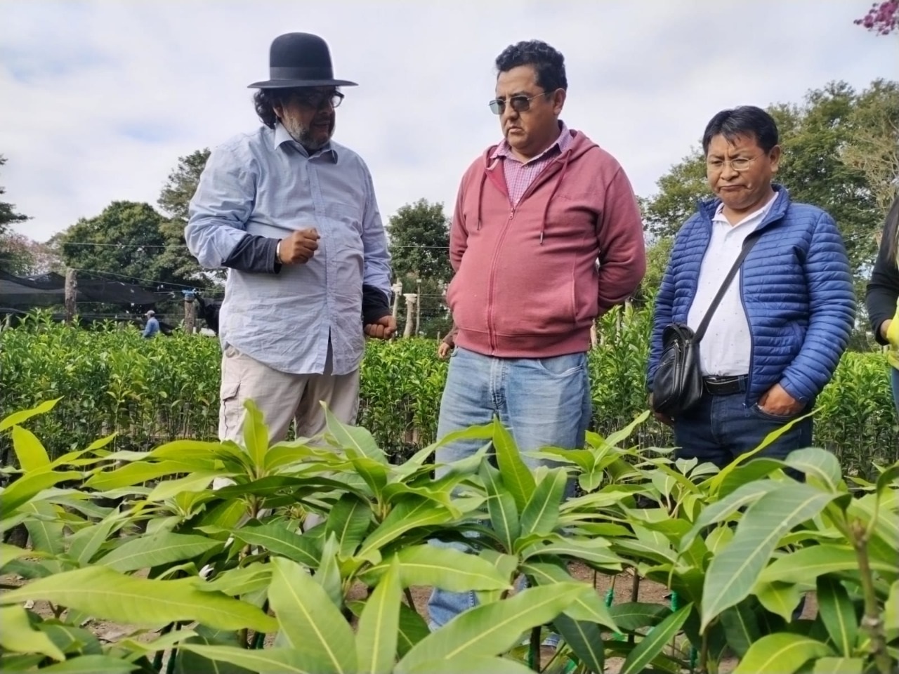 Gobierno compromete programas para incrementar la producción de palta, frutas y café en El Torno