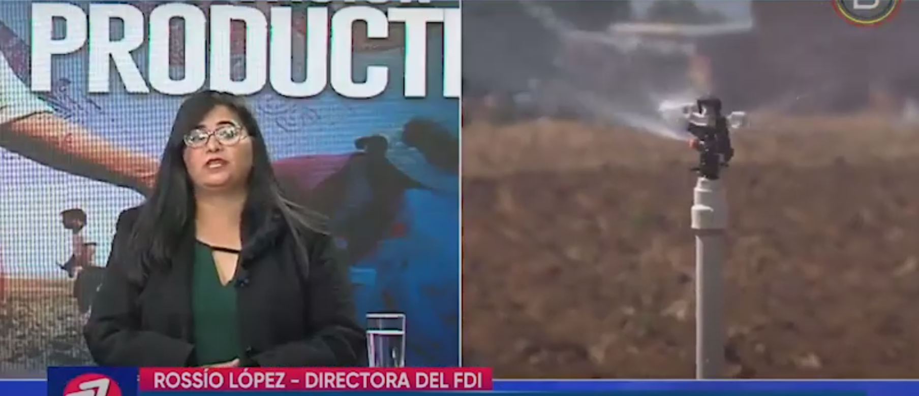 Fondo de Desarrollo Indígena convoca a presentar proyectos productivos para una cartera de Bs 367 millones 