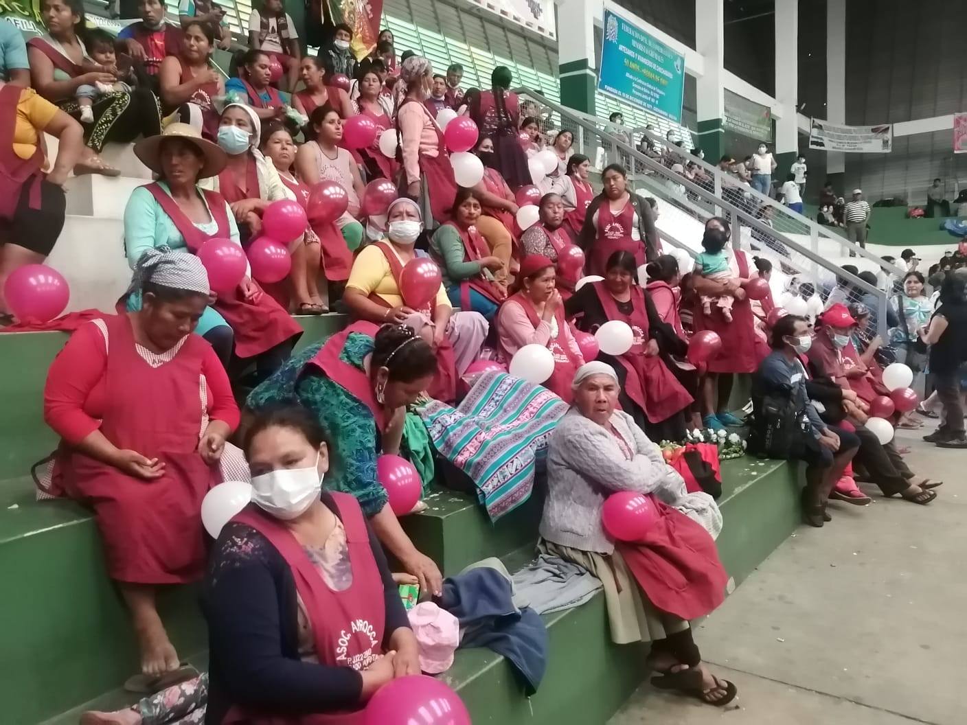 Gremiales presentan al presidente Arce una propuesta de ley de protección a ese sector