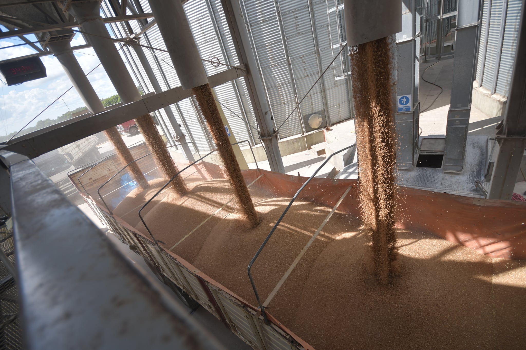 Analista: Anapo quiere usar alimentos transgénicos que no son aconsejables para la salud humana 