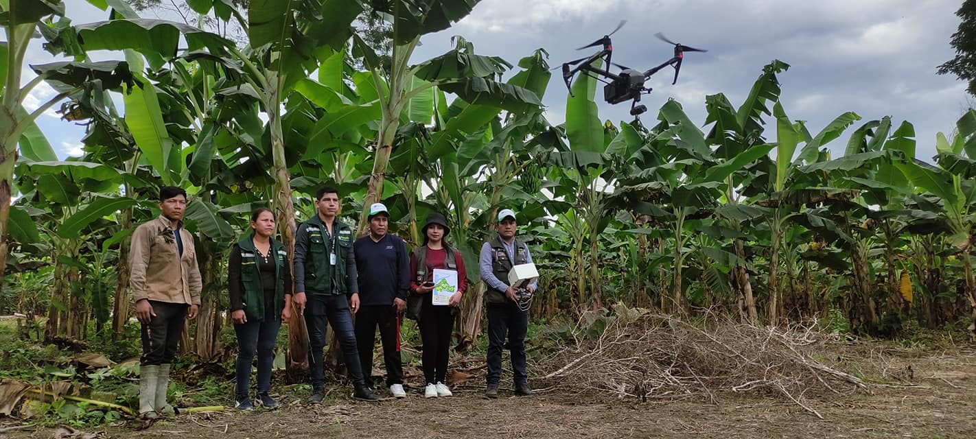 Fonadin implementa uso de drones para cuantificar y verificar la superficie de cultivos de banano y plátano
