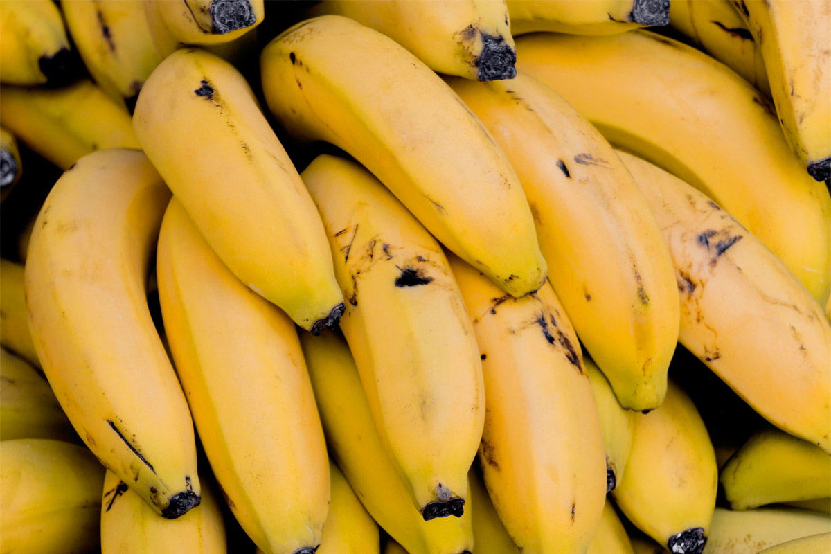 El mercado argentino del banano está en riesgo debido a los conflictos por el censo
