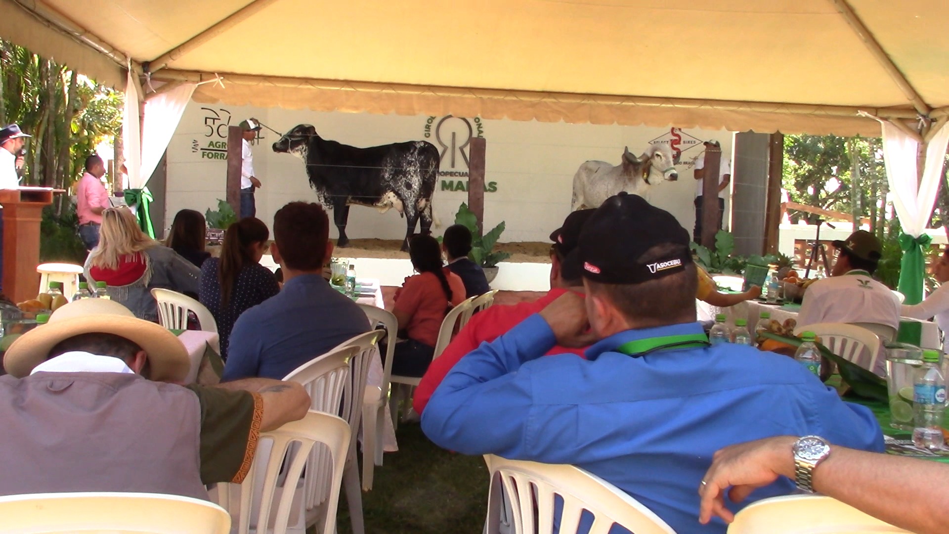 El presidente en ejercicio garantiza alianza público-privada con ganaderos del país