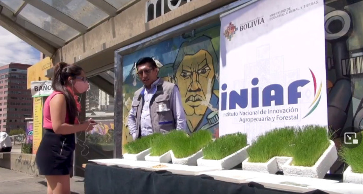 Séptimo concurso Innovare 2022 del Iniaf se organizará mañana en la ciudad de La Paz