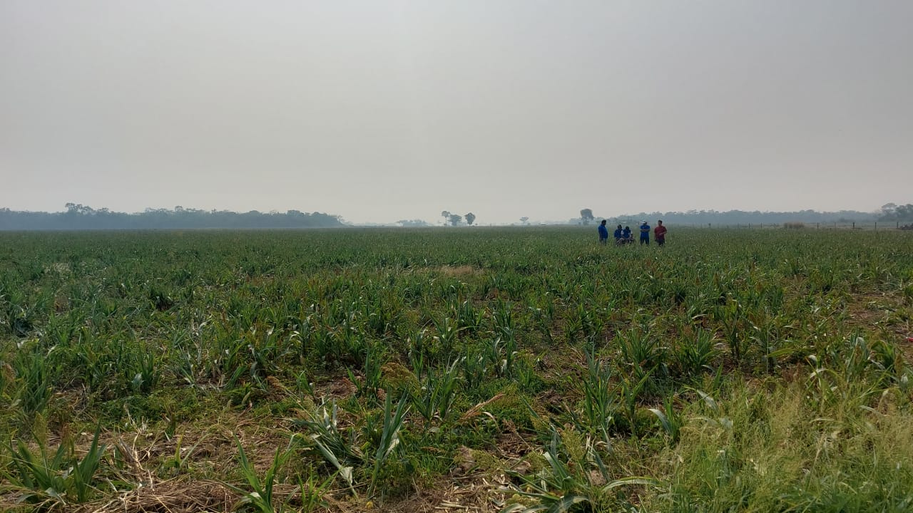 El INRA advierte que no tolerará avasallamientos y anuncia un plan de desalojo