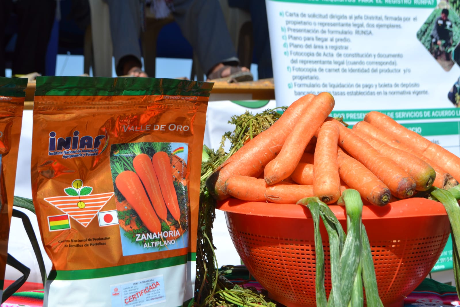 Desarrollo Rural entrega insumos agrícolas a productores de Paria y Soracachi