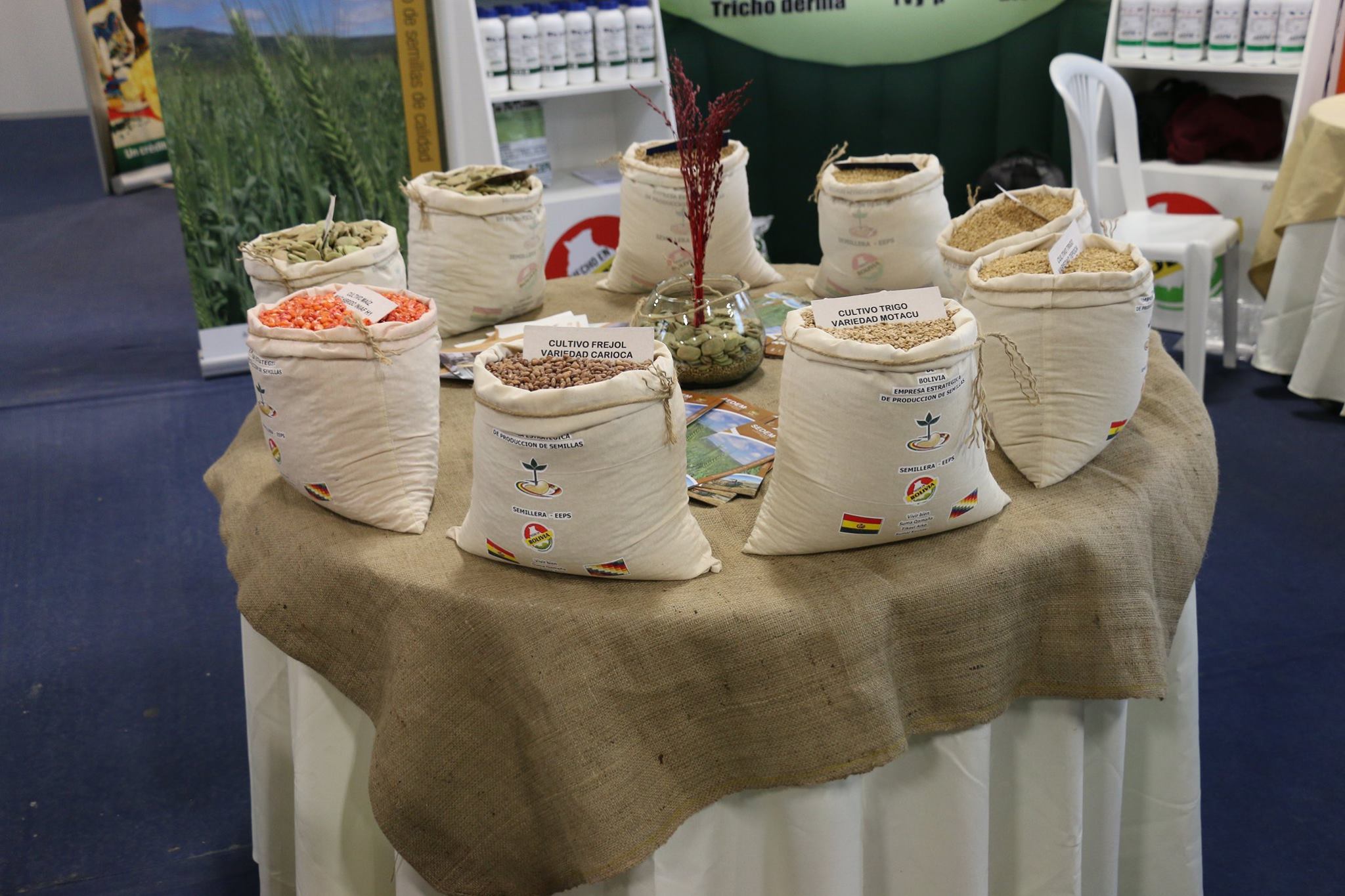 Empresa de semillas inyecta Bs 26.000 por compra de materia prima y genera 140 puestos de empleo