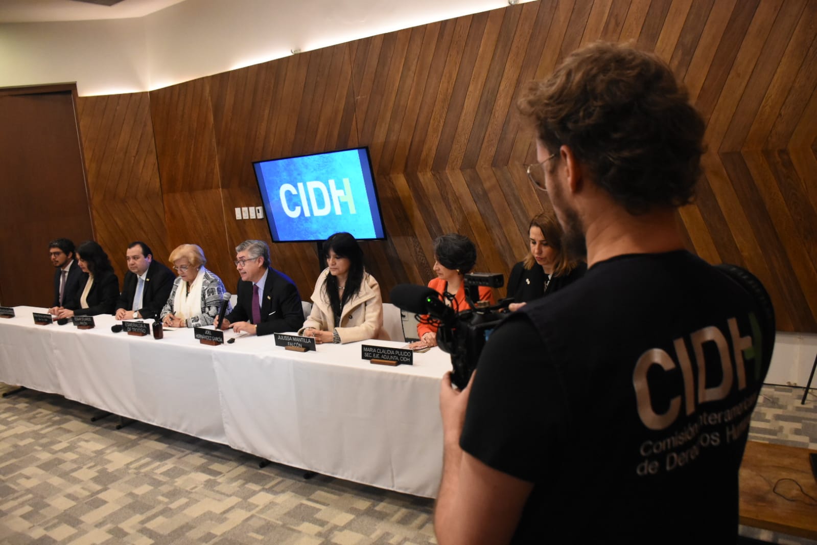 CIDH visitará tres penitenciarias de La Paz