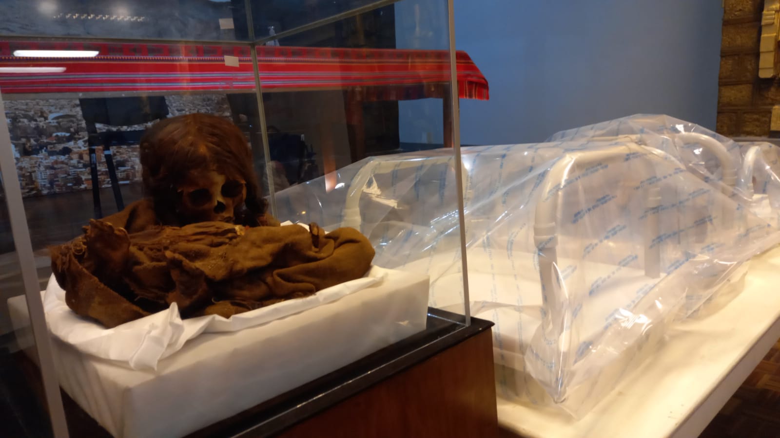 Reabre al público el Museo Nacional de Arqueología en la Noche de Patrimonio Cultural 