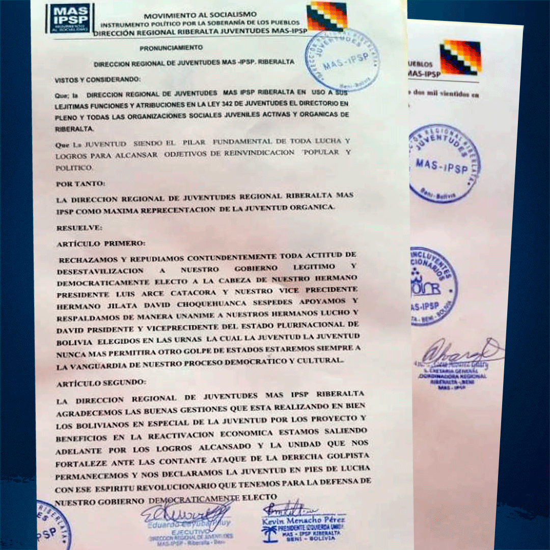 Presidente agradece a las Juventudes de Riberalta por su respaldo y compromiso con la democracia