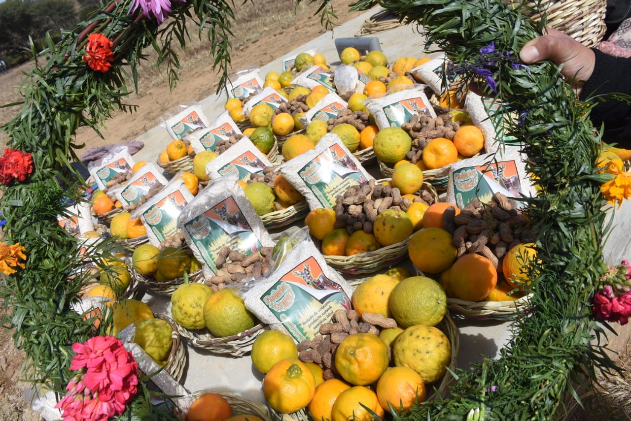 Conflicto bélico acelera proyecto de fábrica de abono para garantizar soberanía alimentaria