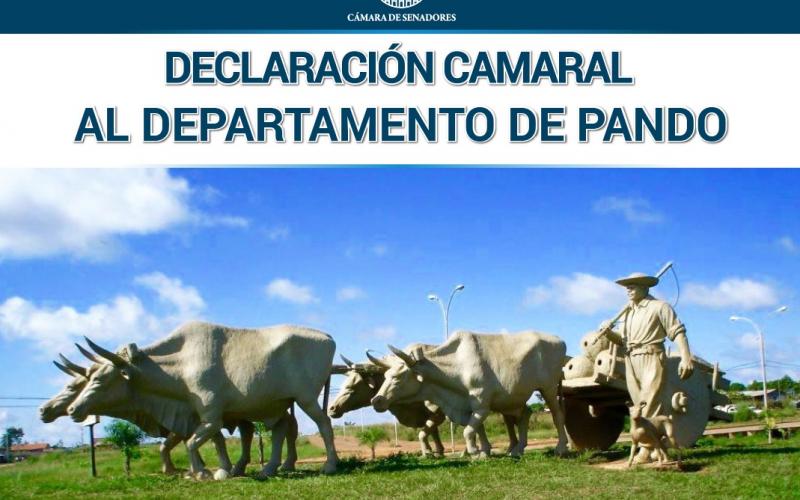 Senado aprueba Declaración Camaral por los 84 aniversario del departamento de Pando