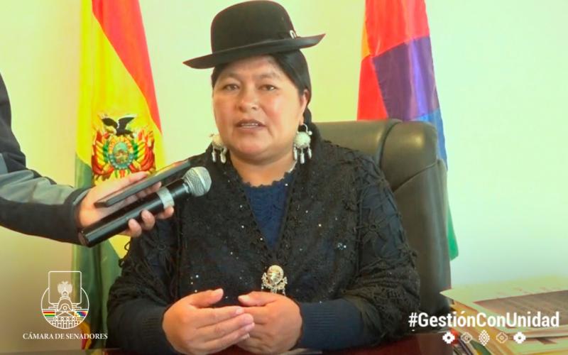 Vicepresidenta del Senado considera que cívicos gestan un segundo golpe de Estado