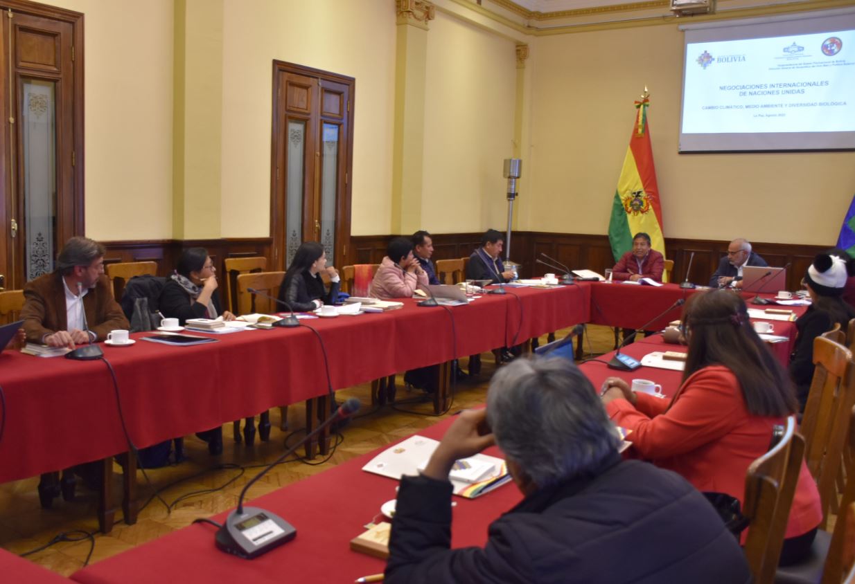 Vicepresidencia insta a supraestatales fortalecer defensa de Bolivia por la Madre Tierra