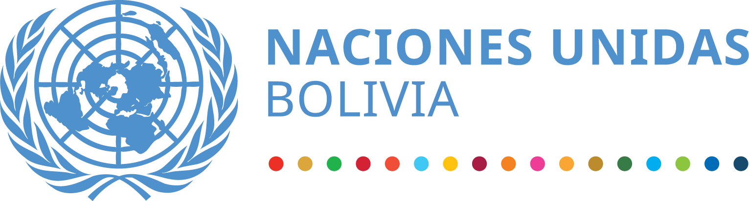 En su afán de descalificar a la ministra Prada, Carlos Valverde tergiversa a la ONU Bolivia