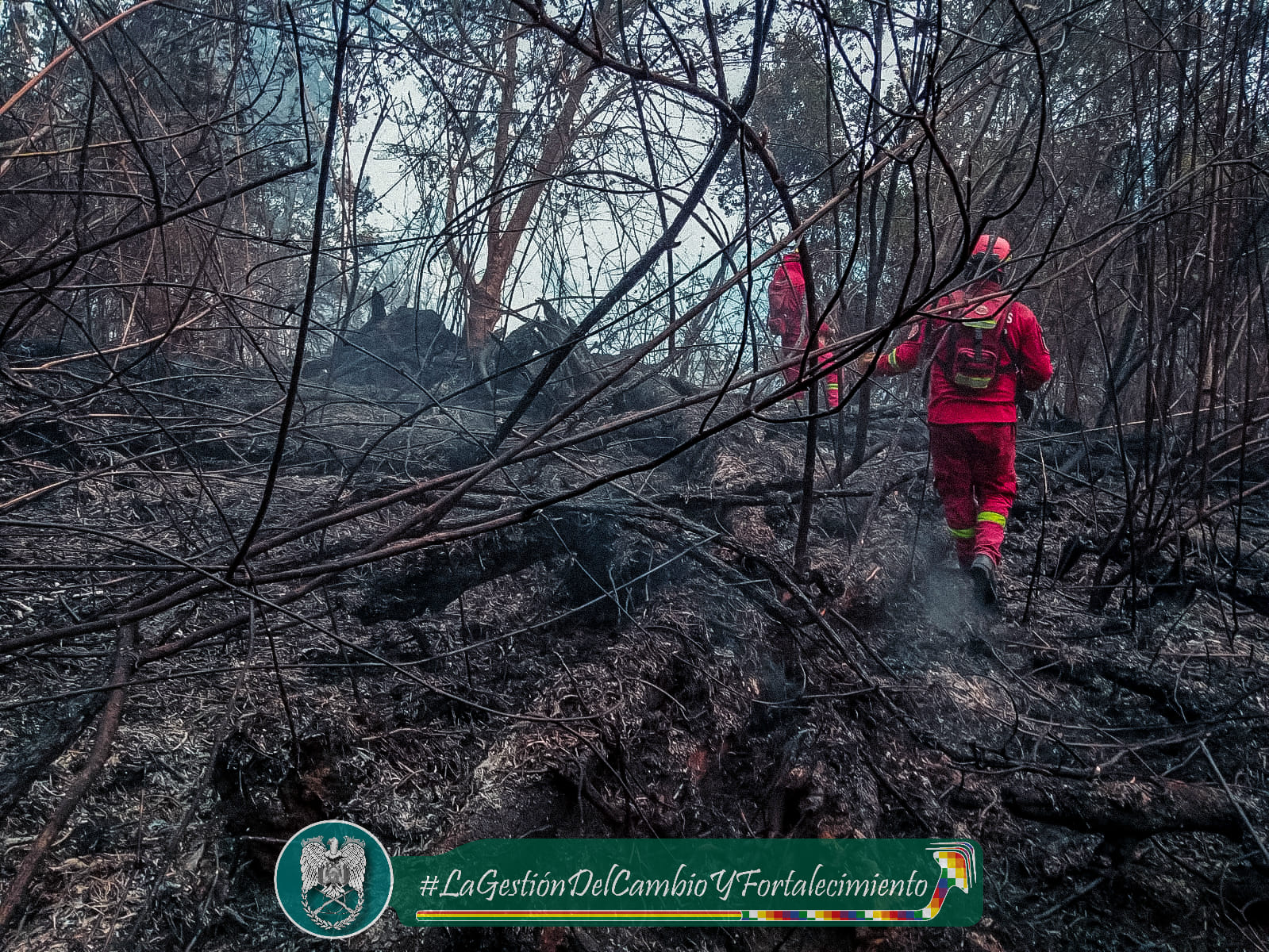 Irupana y la Asunta son los municipios más afectados por el incendio en el norte paceño