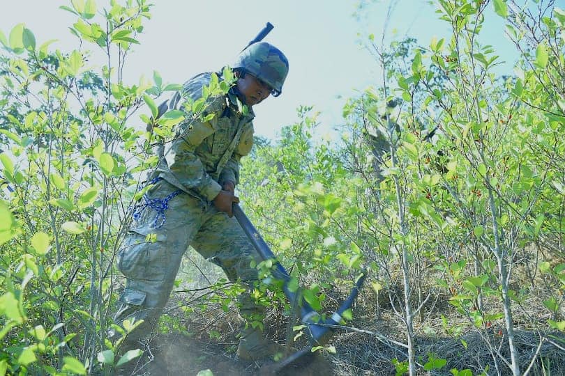 Gobierno y UNODC uniformarán “metodologías” para medir extensión de los cultivos de coca 