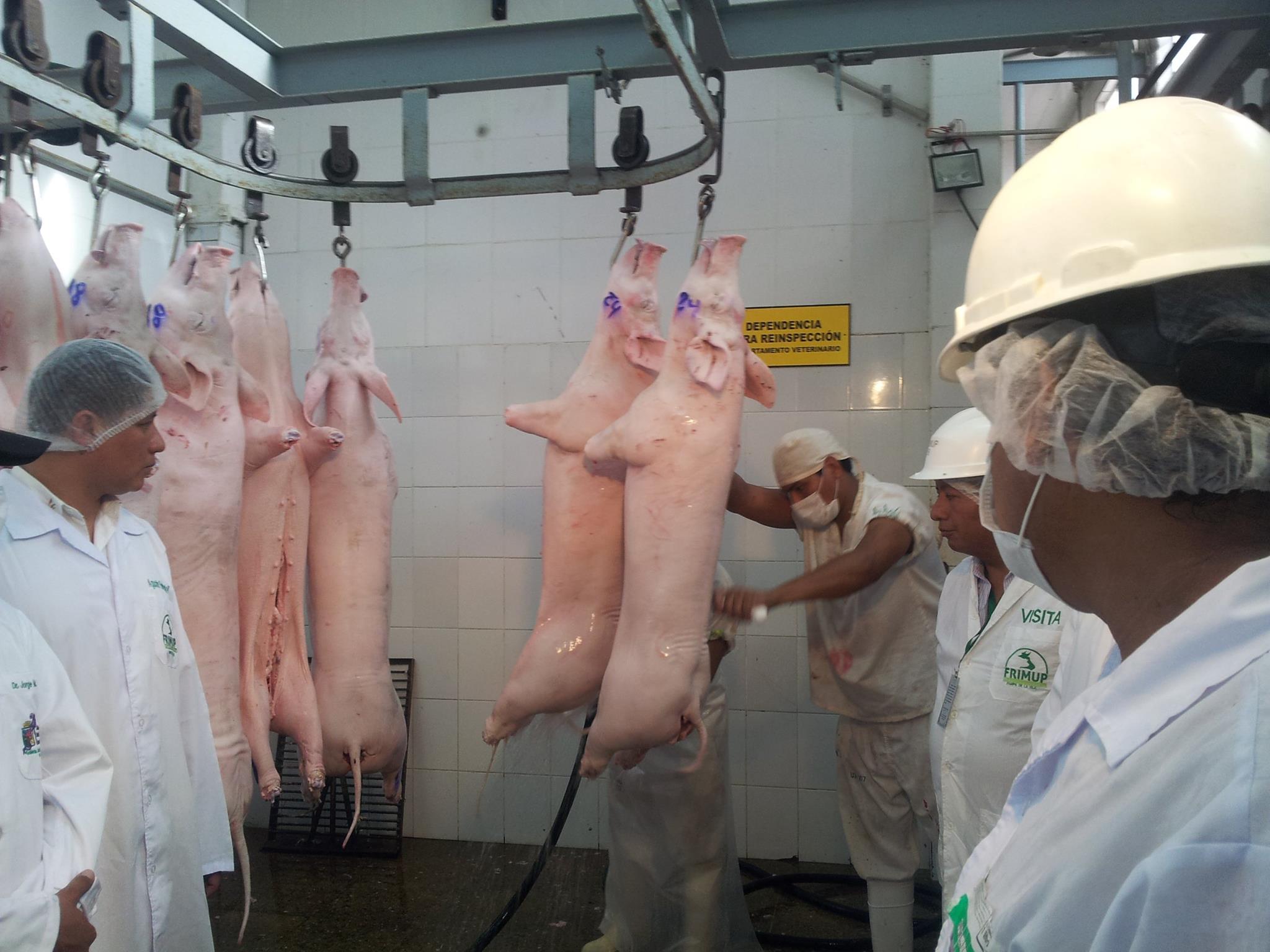 Defensa del Consumidor recomienda exigir Registro Sanitario al adquirir carne de cerdo