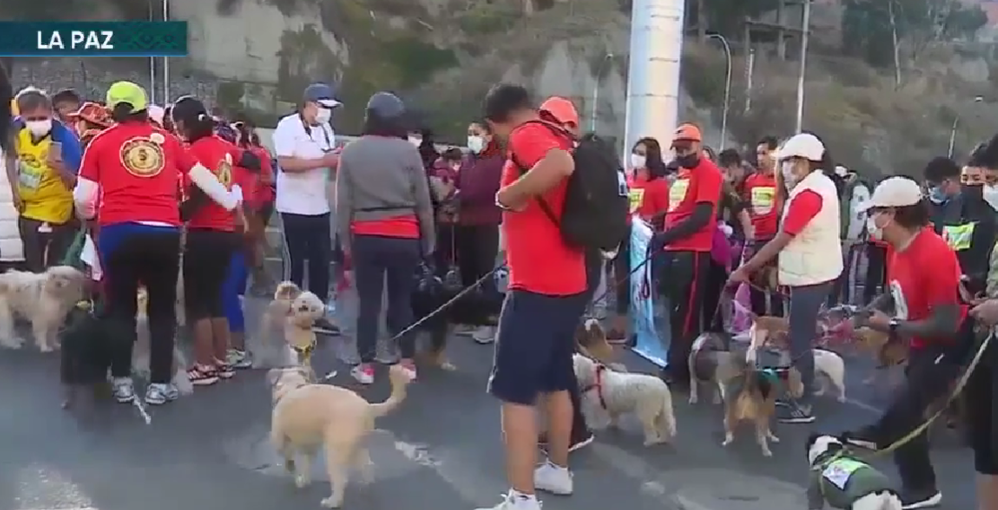Más de mil canes participaron del Perrotón en La Paz