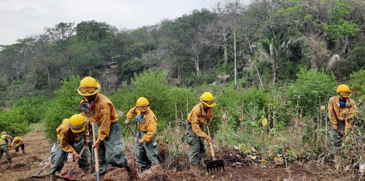FFAA intensifican lucha contra los incendios con operativos terrestres y aéreos