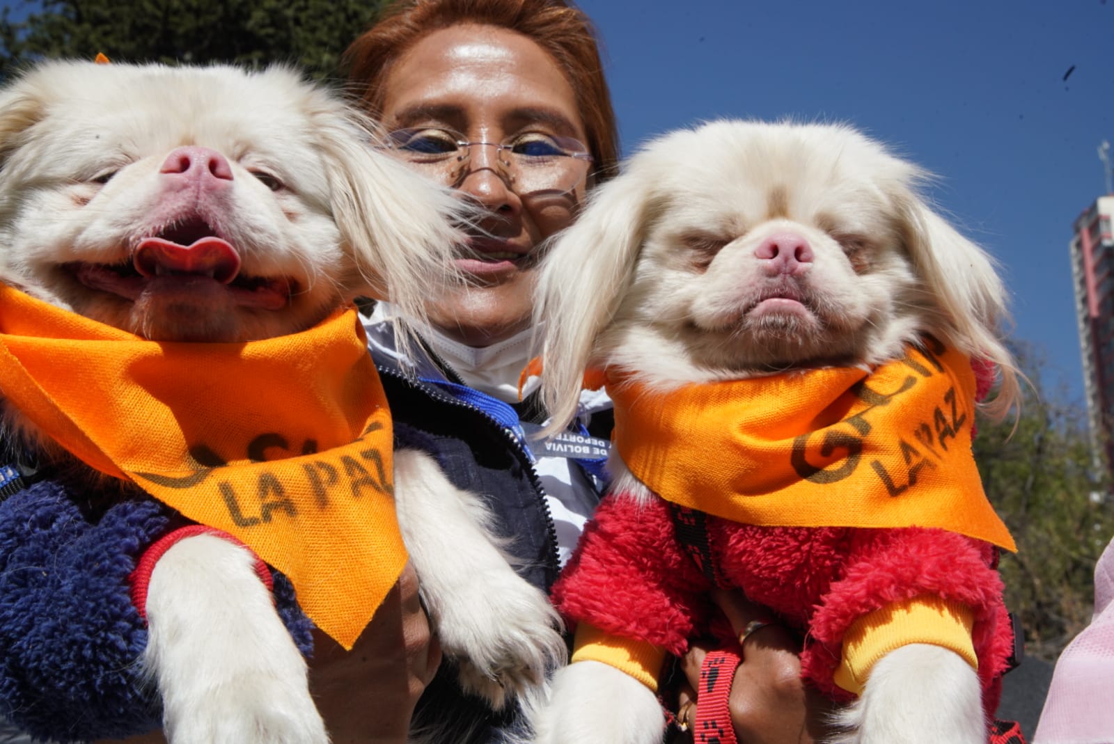 Salud distribuye más de tres millones de vacunas para la campaña antirrábica del 20 y 21 de agosto