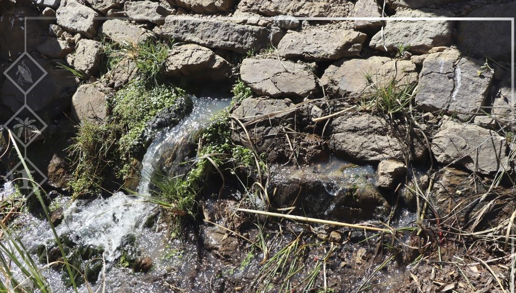 Caso Quecoma: Gobernación considera extemporáneos incidentes que presentó defensa de Reyes Villa