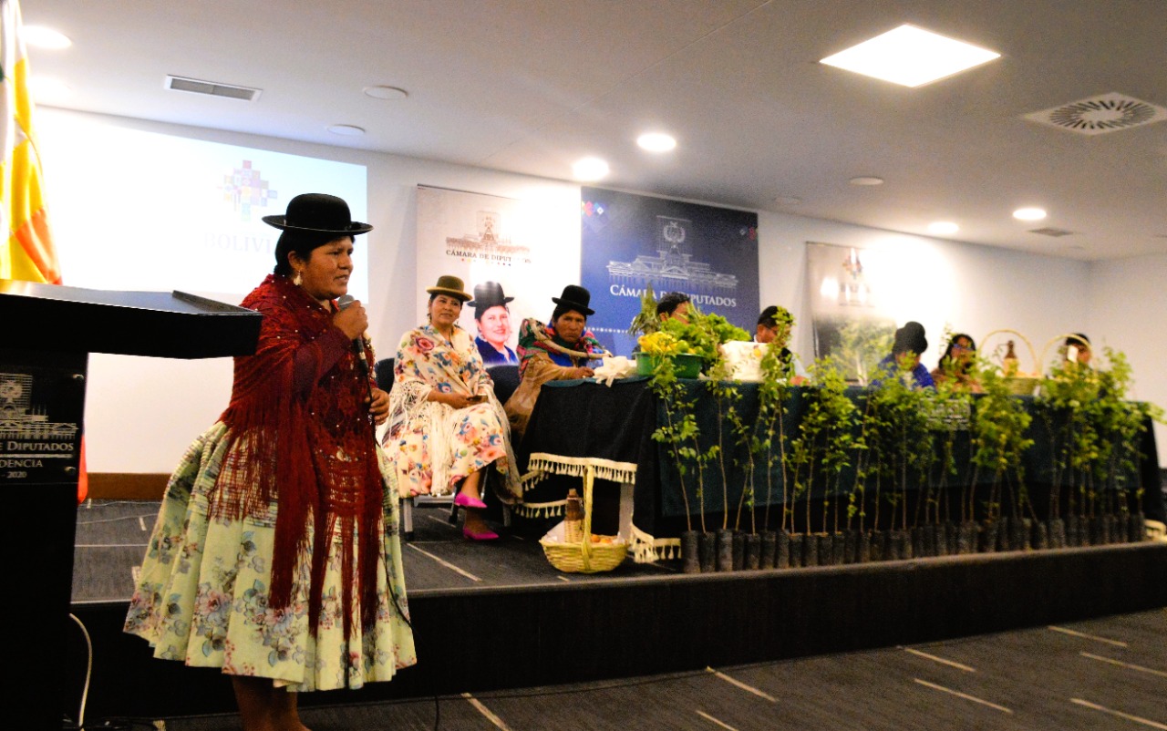 Cuatro municipios de La Paz ganan fondo concursable del Fonabosque