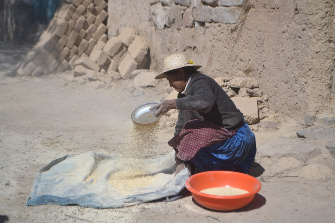 OIT: Tras la pandemia, más de 800 pueblos indígenas de América Latina viven en una mayor precariedad