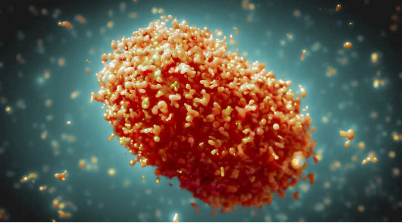 Bolivia no registra casos de viruela símica, pero mantiene la alerta sanitaria