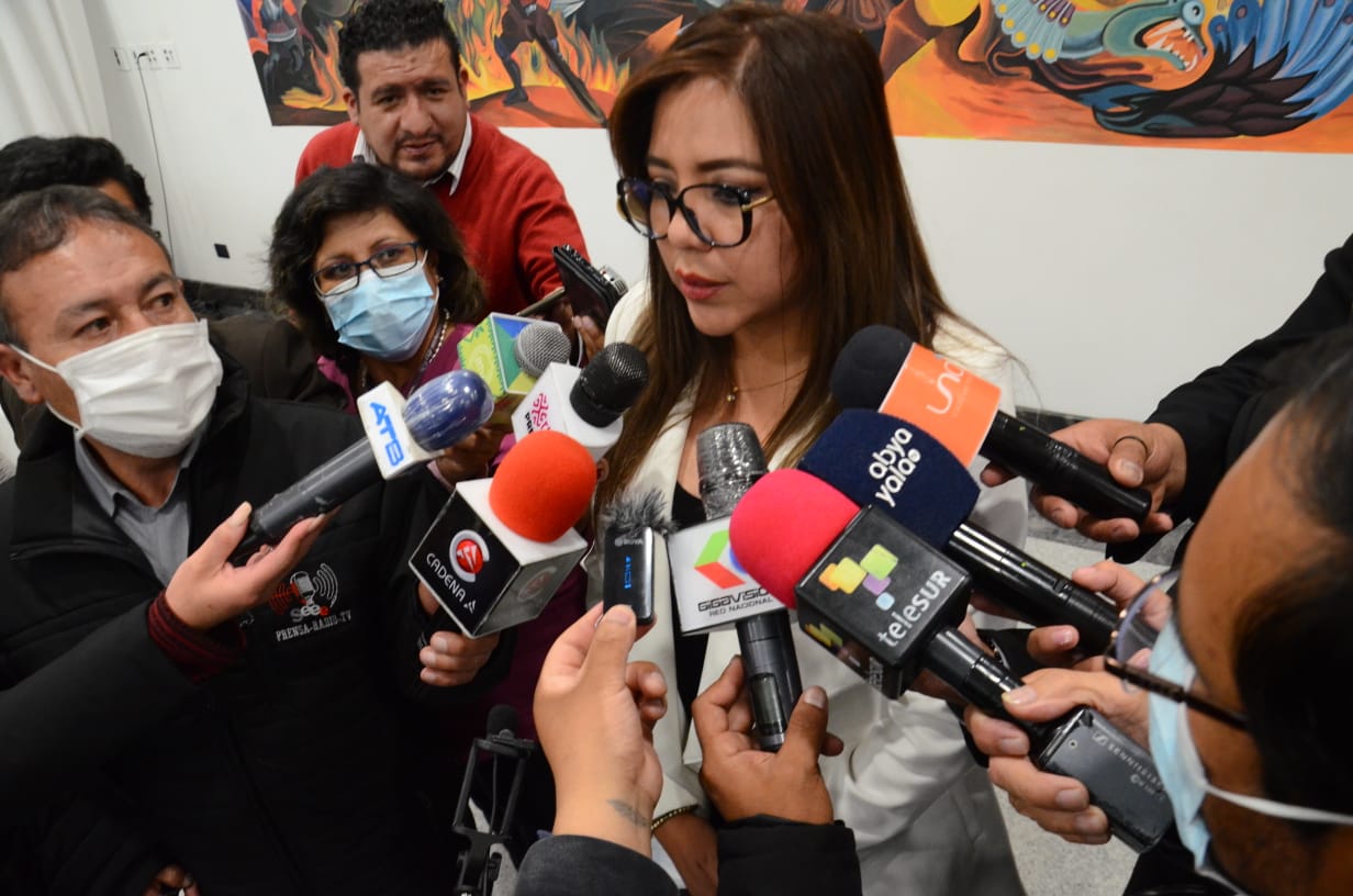 Viceministra Alcón pide esclarecer y no politizar la tragedia en Potosí