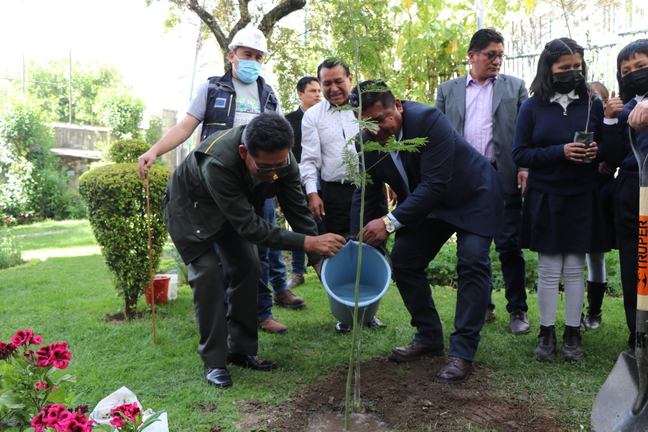 Miles de estudiantes participarán en la campaña de reforestación por el Día Nacional del Árbol