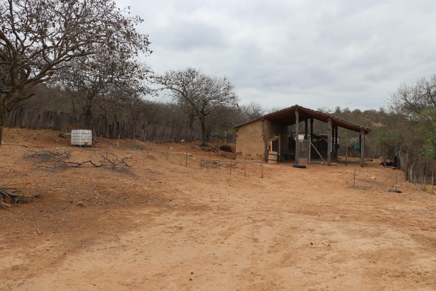 Trabajo impulsa reversión de tierras en favor de guaraníes sometidos a servidumbre y semiesclavitud