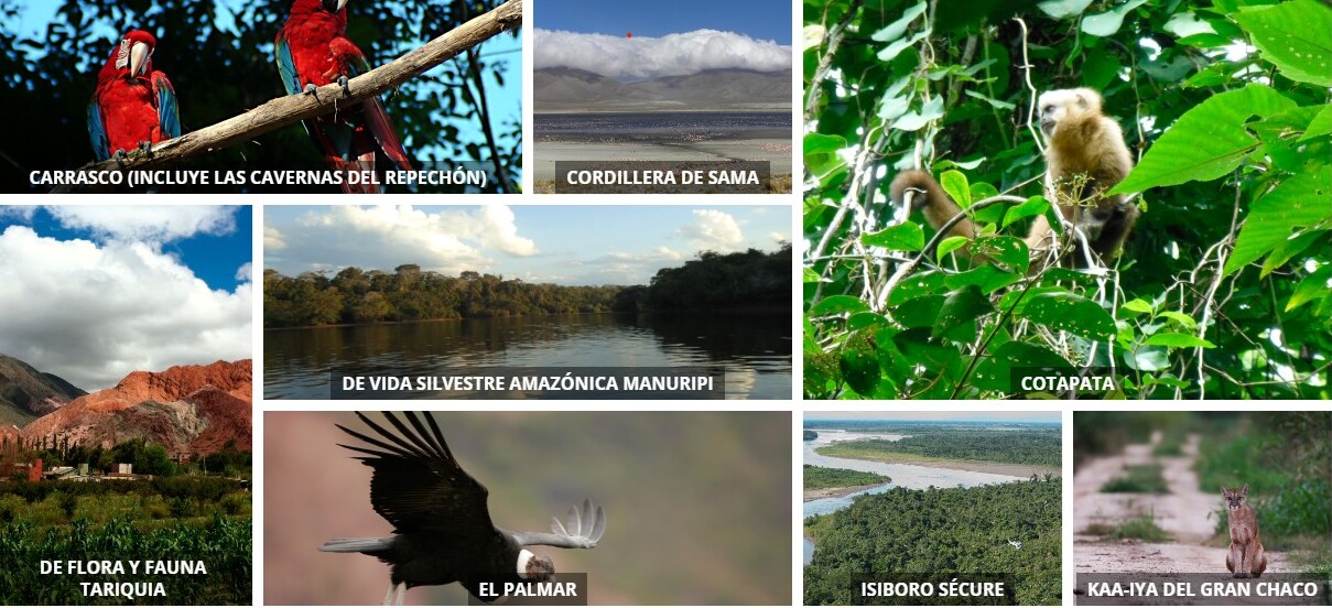 El Sernap cumplirá 25 años de creación al servicio de la protección de 22 Áreas Protegidas