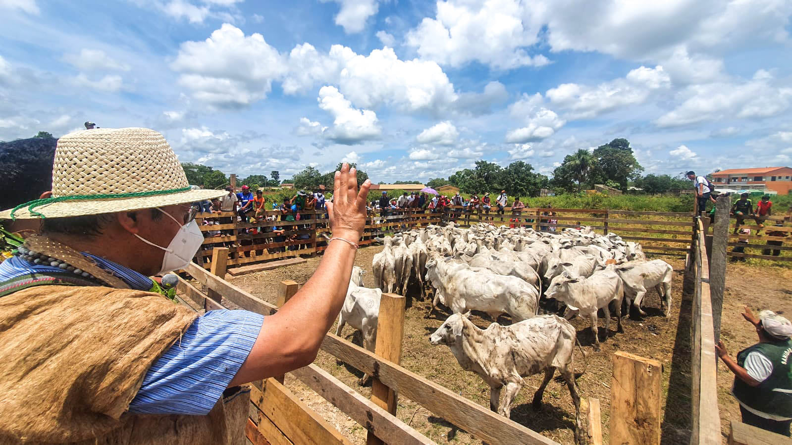 Gobierno pone en marcha el Programa de Fomento a la Ganadería Bovina con Bs 44,4 millones