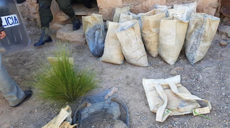 Ministerio de Minería se constituirá en parte querellante contra los que comercialicen mineral robado