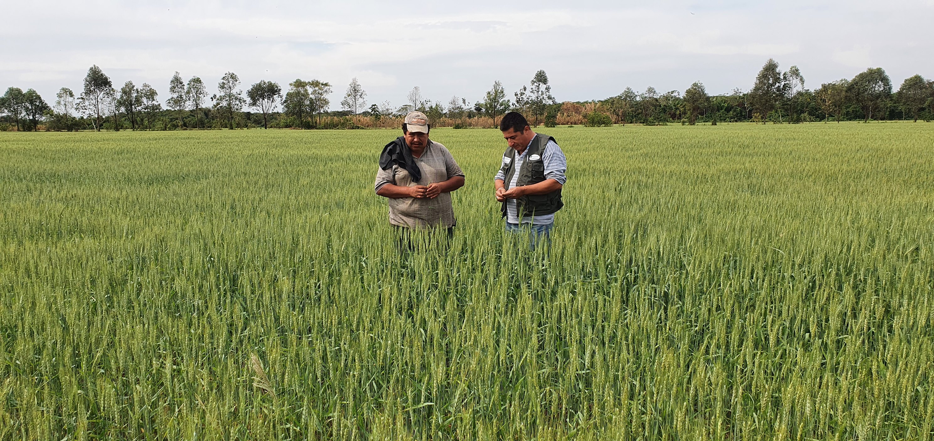 Empresa estatal de Abonos y Fertilizantes generó Bs 28,1 millones por ventas en 2021