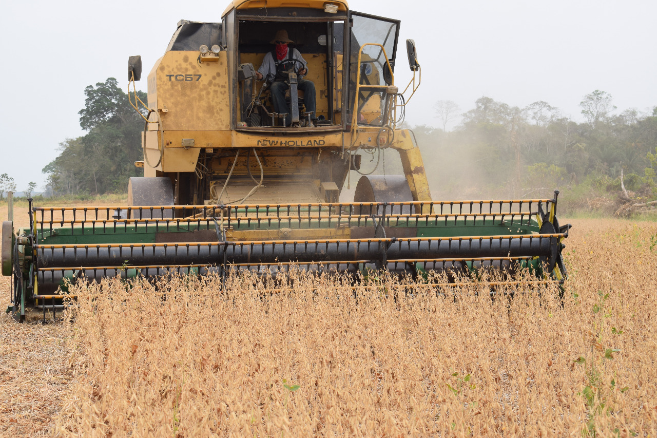 Emapa prevé acopiar 100.137 toneladas de trigo en la campaña agrícola de invierno 2021