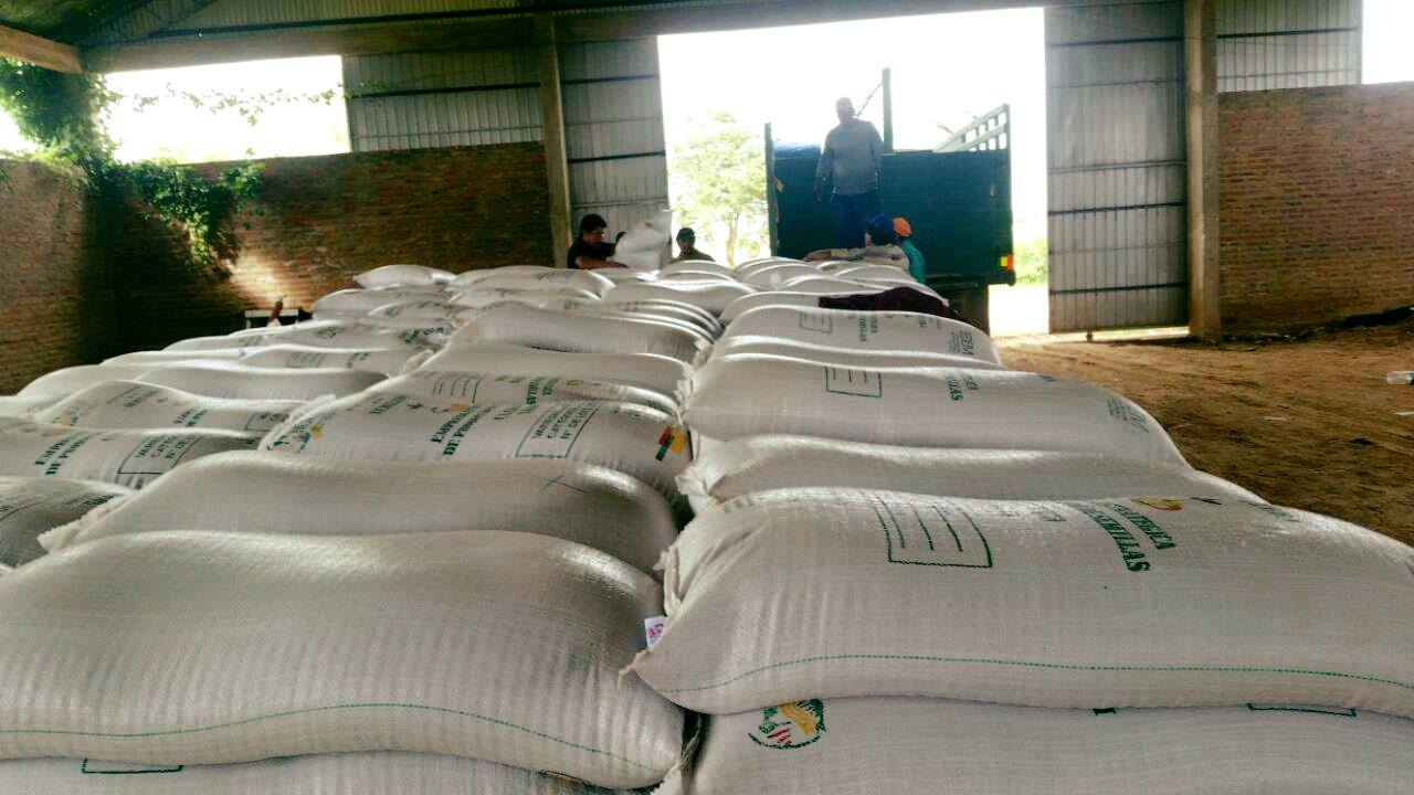 EEPS: Administración del gobierno de facto dejó pérdida de Bs 3 millones en semillas