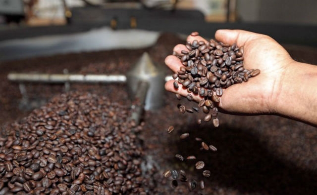 Exportaciones de café boliviano aumentan a $us 5 millones a junio pese a la baja del precio internacional