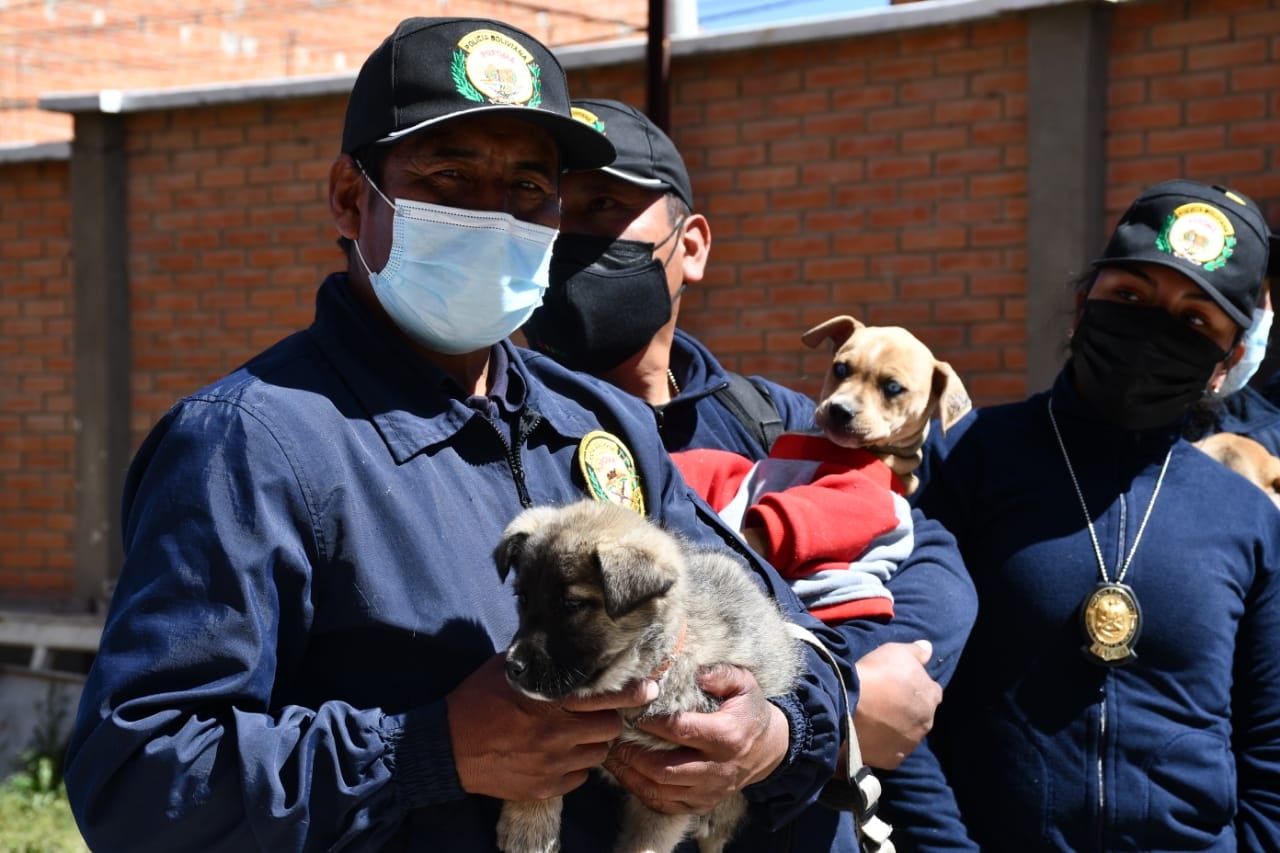 Ejecutan Plan de Acción para la defensa y protección de los animales con operativo en feria 16 de Julio