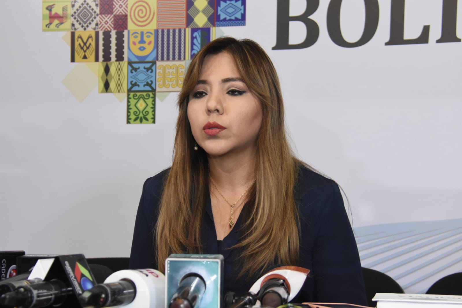 Viceministra de Comunicación recuerda que el Decreto Supremo 4640 está en plena vigencia y que fue socializado