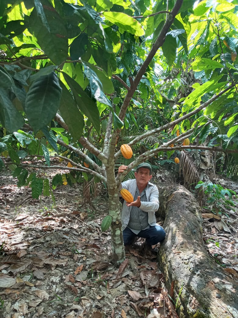 Alistan una inversión de más de Bs 23 millones para reactivar al sector agropecuario en Pando