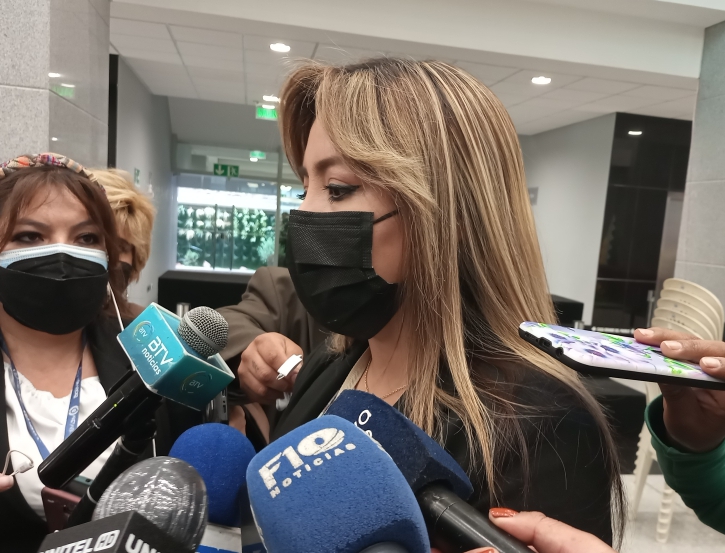 Viceministra Alcón destaca acuerdos alcanzados en el Gabinete Binacional Bolivia - Perú