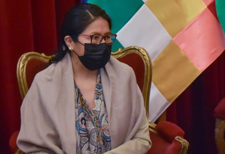 Bolivia reactiva servicio de gestión consultar