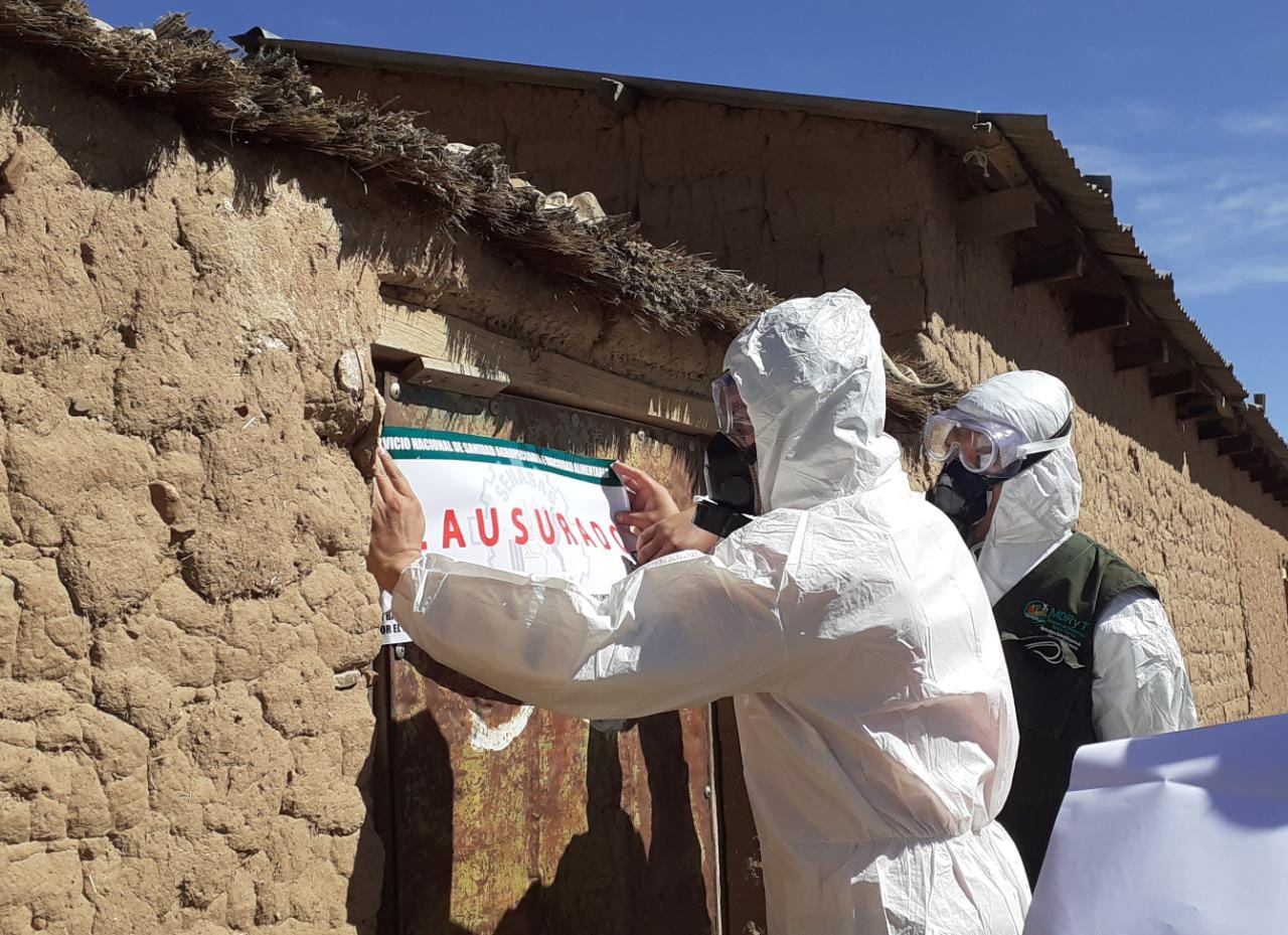 La Paz: Senasag clausura cuatro predios de faeneo que operaban de forma clandestina