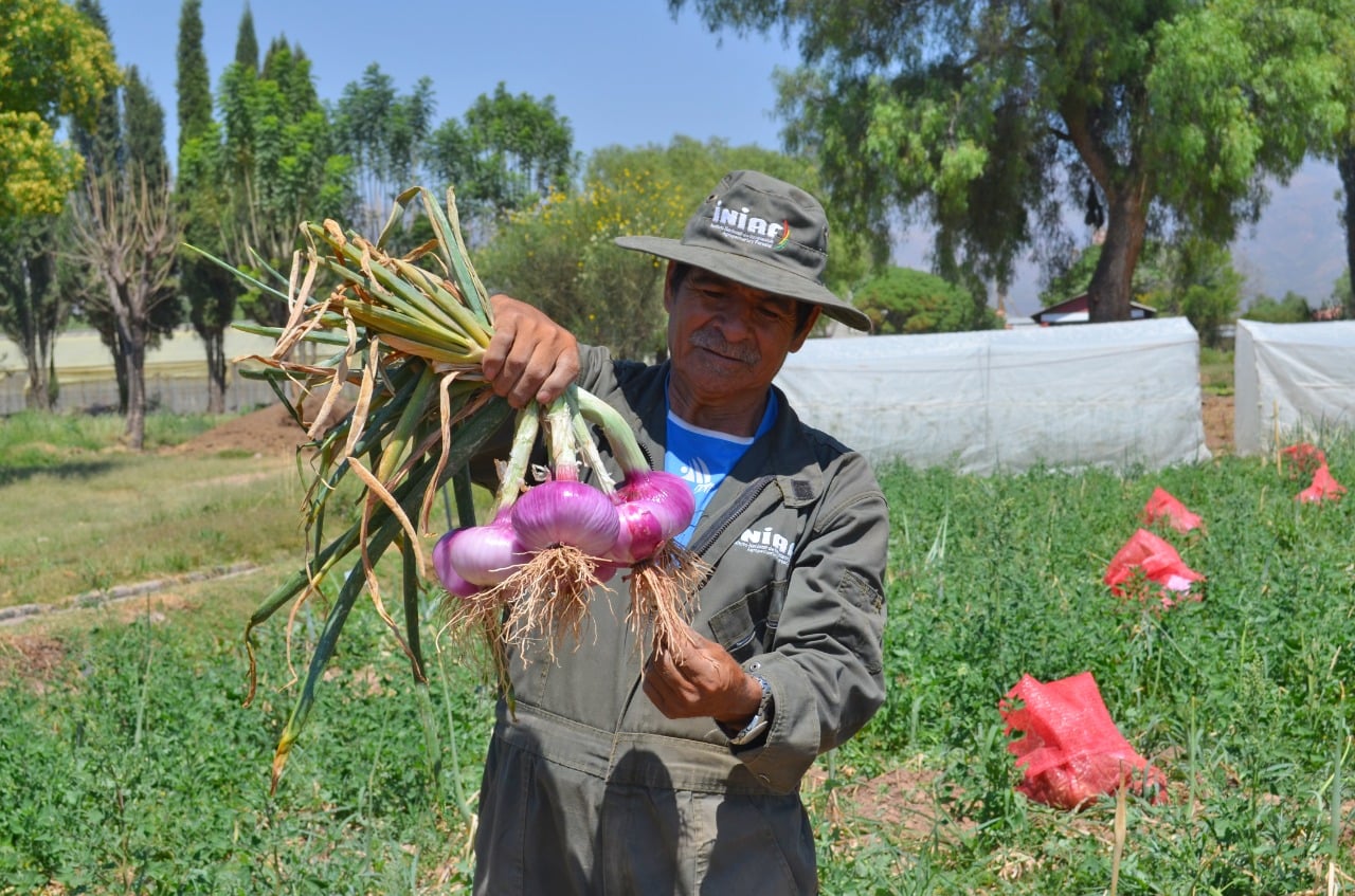 Director de Pro-Camélidos realza los programas y proyectos estatales en beneficio del agro