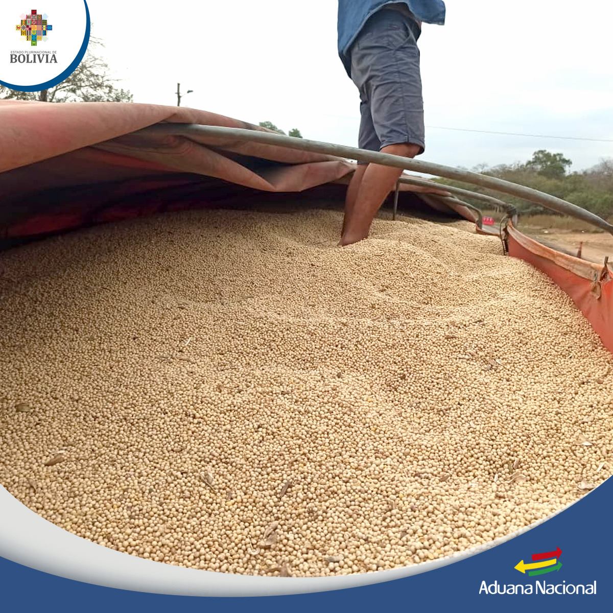 Aduana comisa mercancía de contrabando por un valor de Bs 480.000 en Tarija y Pando